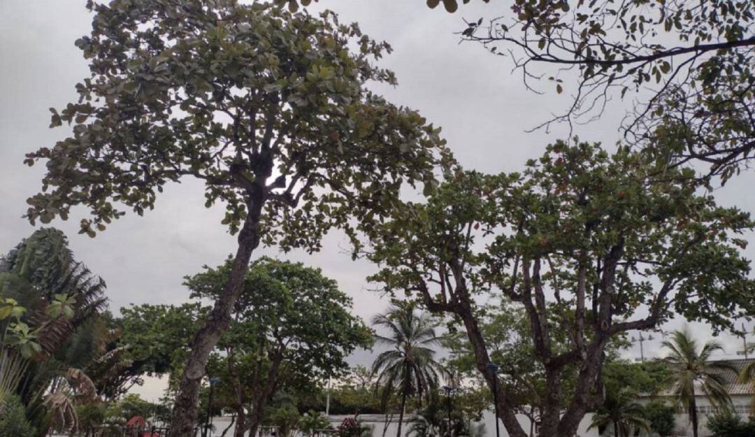 Mientras tanto, el EPA Cartagena seguirá con su competencia de control y vigilancia en materia ambiental