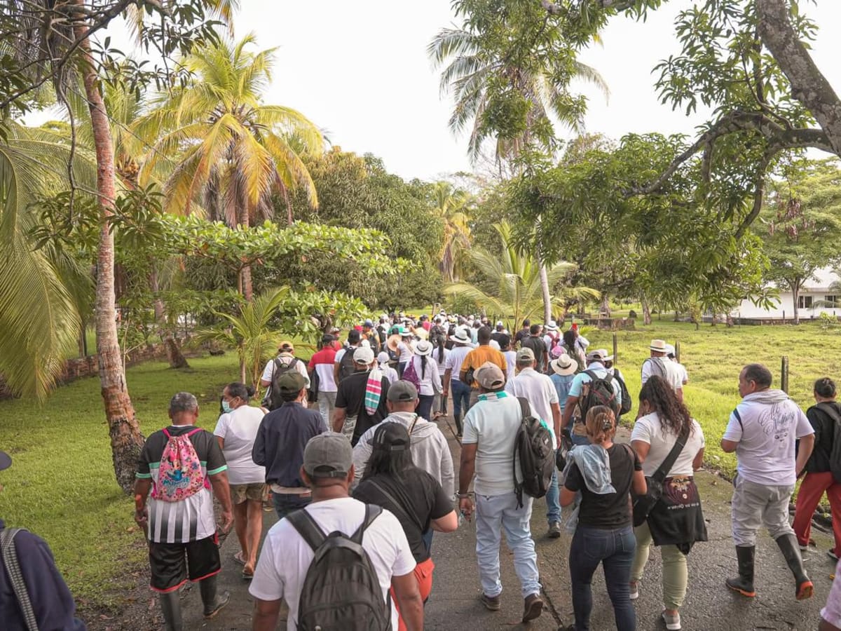 El Estado recupera en Necoclí una hacienda clave del entramado paramilitar en Urabá