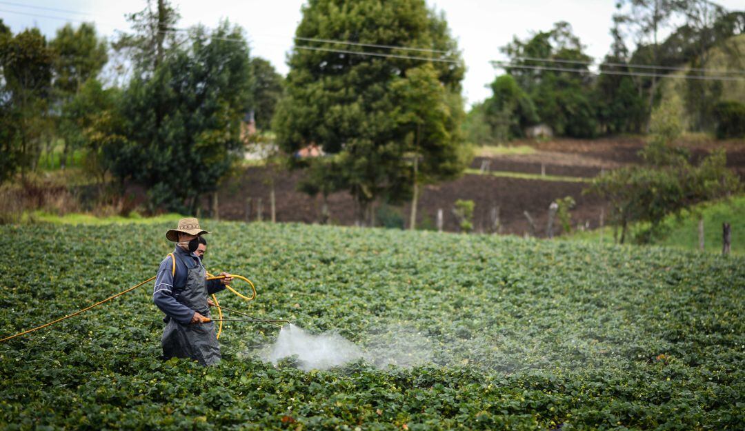 Trabajador agrícola