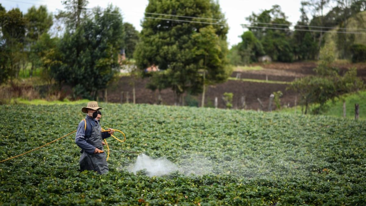 Gobierno nacional estudia un alivio para agricultores de Boyacá