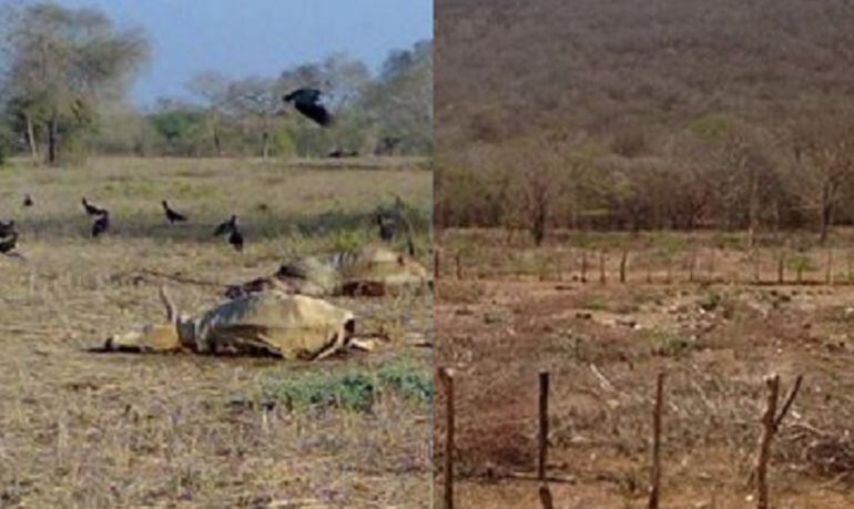 Zona rural, departamento del Atlántico.