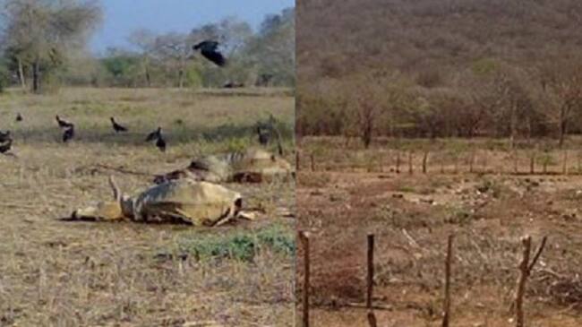 Zona rural, departamento del Atlántico.