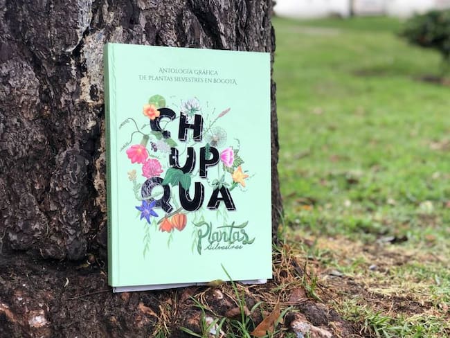 Chupqua, el catálogo de las plantas silvestres de Bogotá