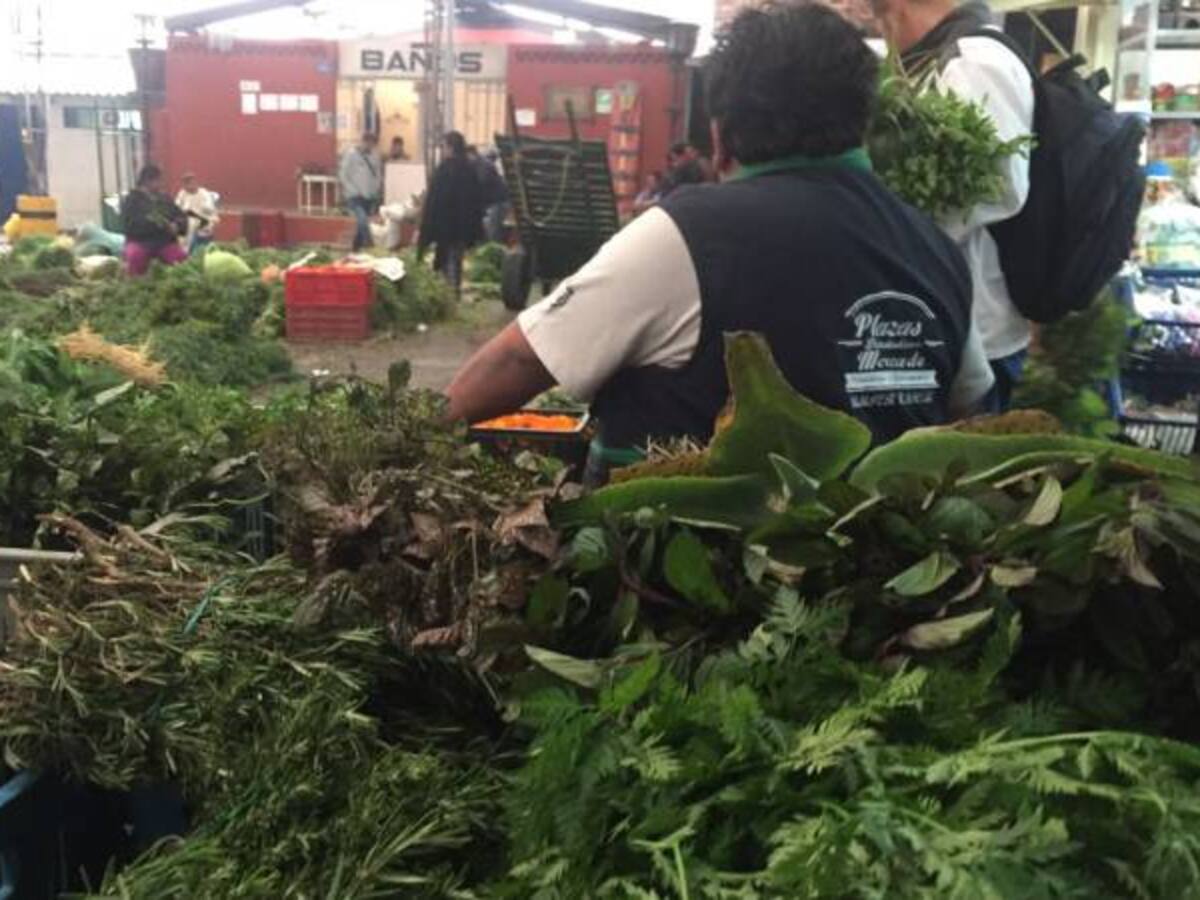 En los zapatos de un yerbatero en la Plaza Samper Mendoza en Bogotá