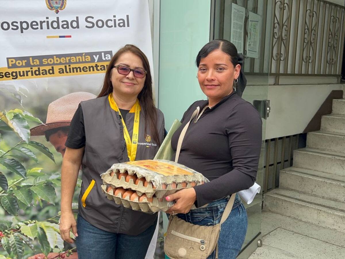 2688 Hogares vulnerables o en condición de pobreza en Quindío beneficiados con la entrega de huevos