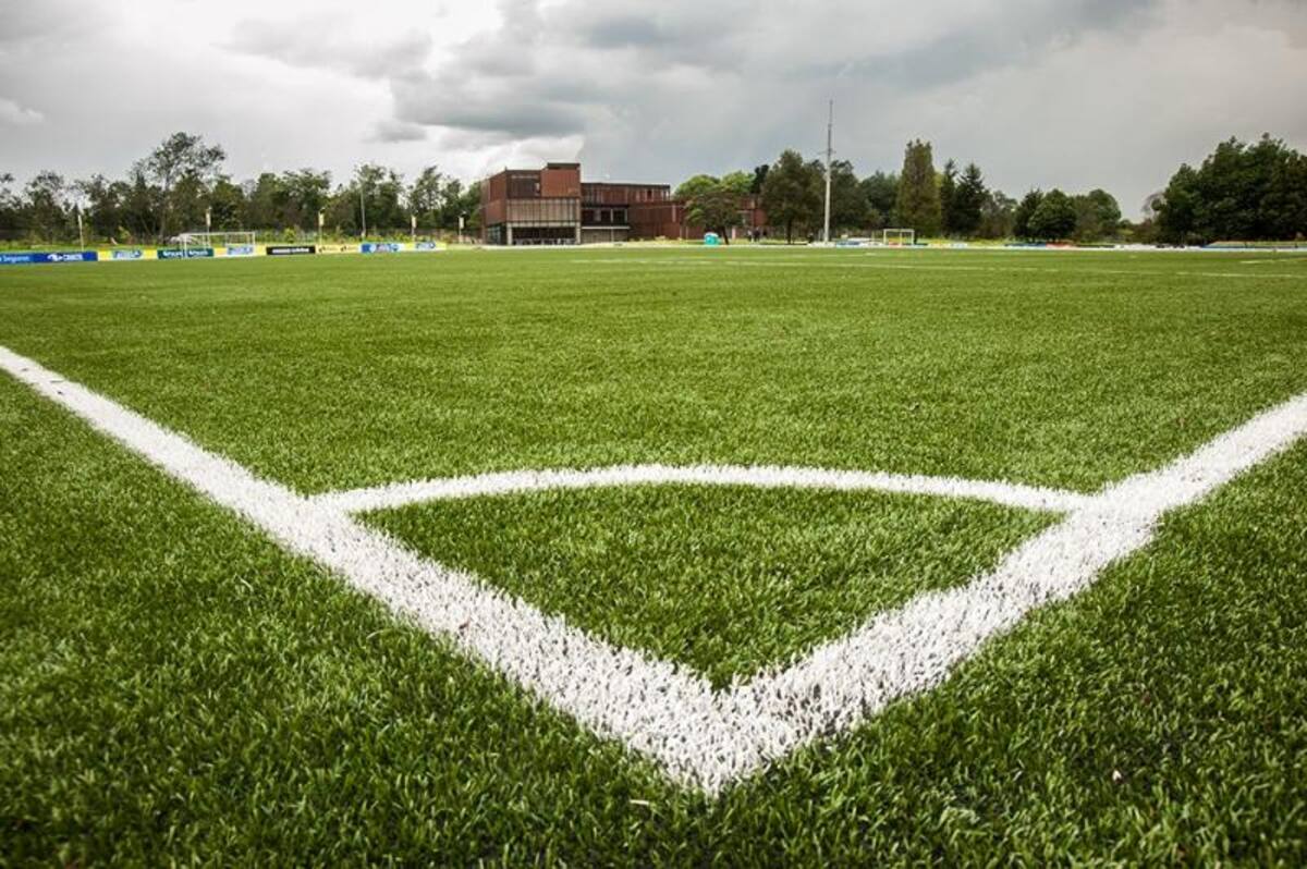 Cancha de grama natural.