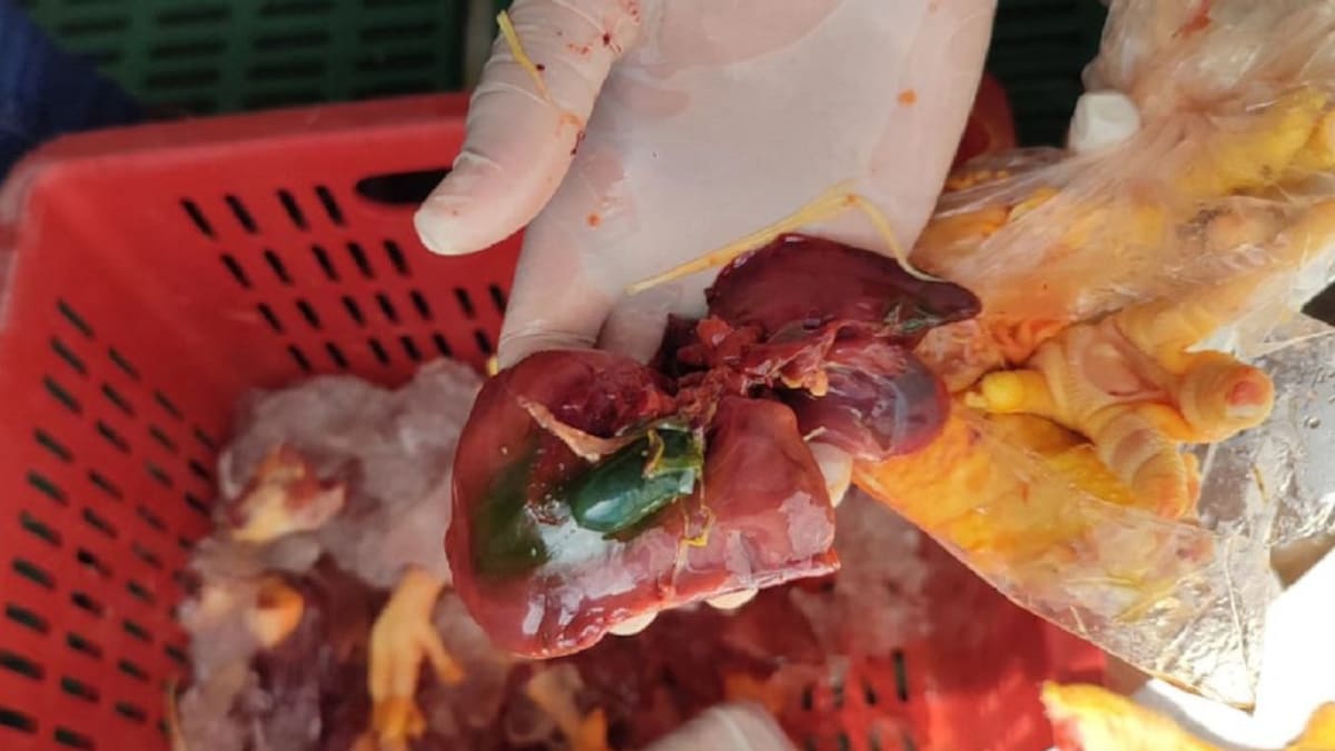 Más de dos toneladas de carne descompuesta fue destruida en el Caquetá