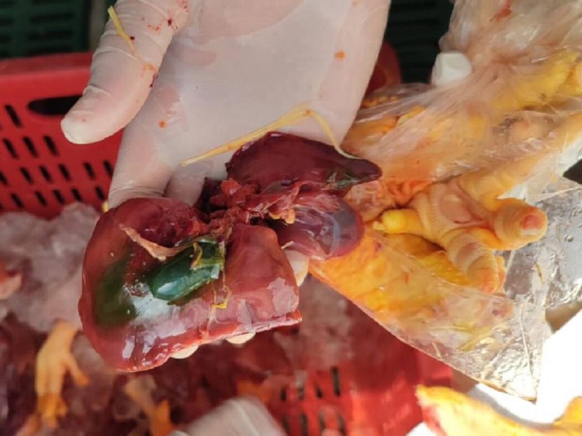 Más de dos toneladas de carne descompuesta fue destruida en el Caquetá