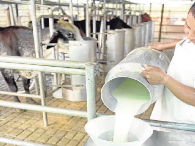 Llegada de leche oceánica quebraría a los productores colombianos