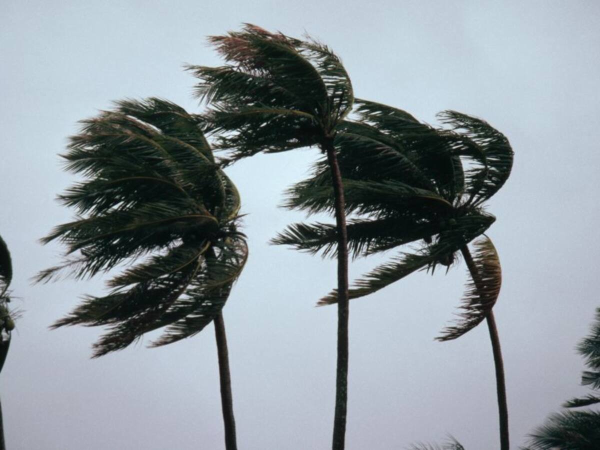 Huracán Isaías azota Bahamas y se dirige a Florida