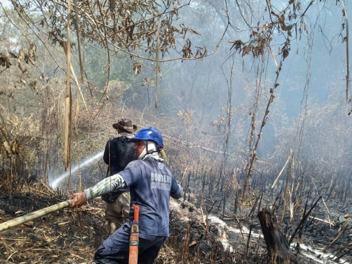 En un 80% se ha controlado incendio en el parque Isla Salamanca: Bomberos