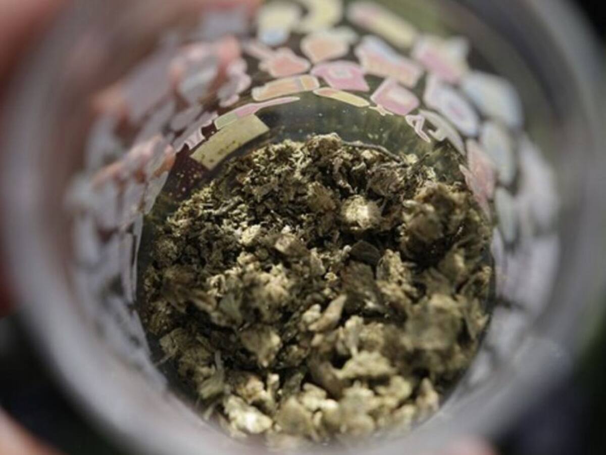 La mayoría de consumidores de cannabis son de estratos 3 y 4 en Bogotá