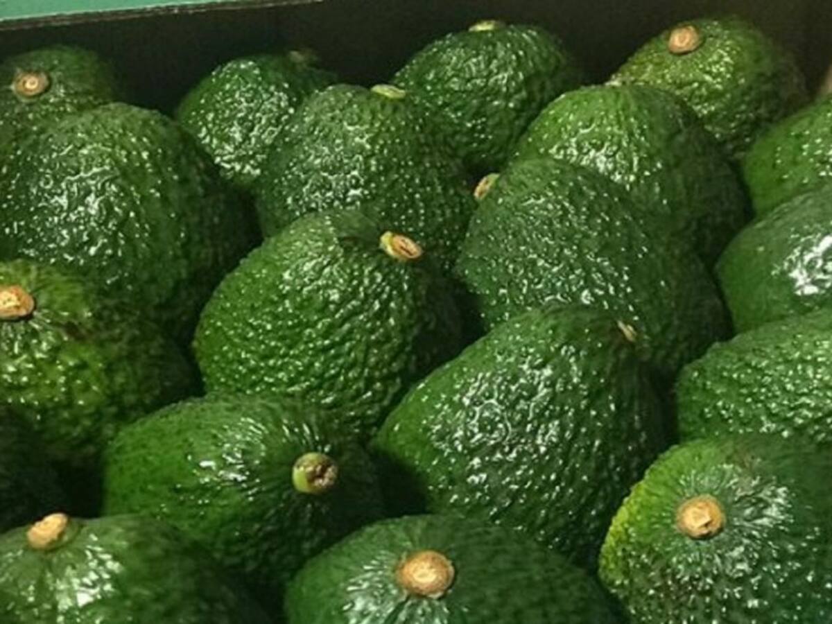 Esta fruta le ayudará a reforzar las defensas en tiempos de pandemia