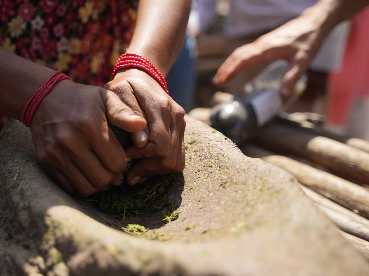 Cartagena sede de la ICARRD+20: el mundo debatirá acceso a la tierra, hambre y crisis rural