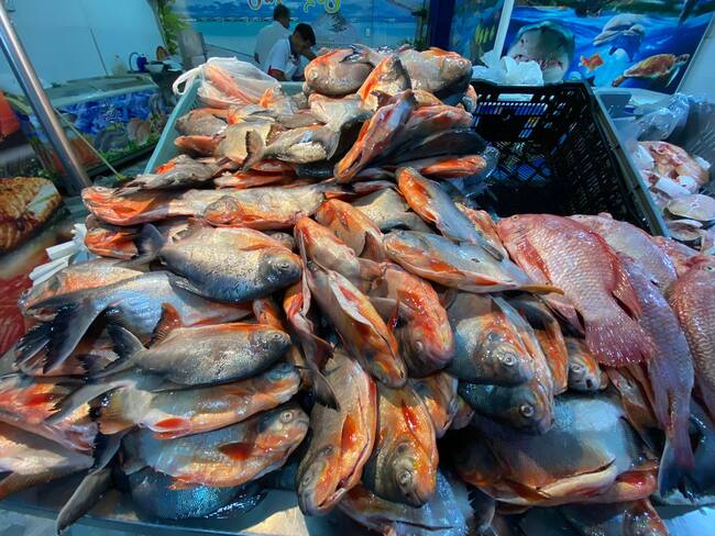 Comerciantes de la Plaza del pescado reportan reducción hasta del 50% en ventas.