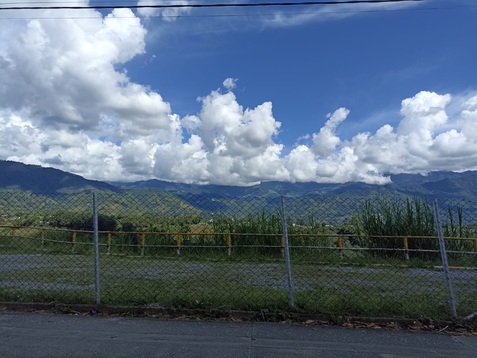 Hermosos paisajes del departamento del Quindío, avenida Centenario en Armenia