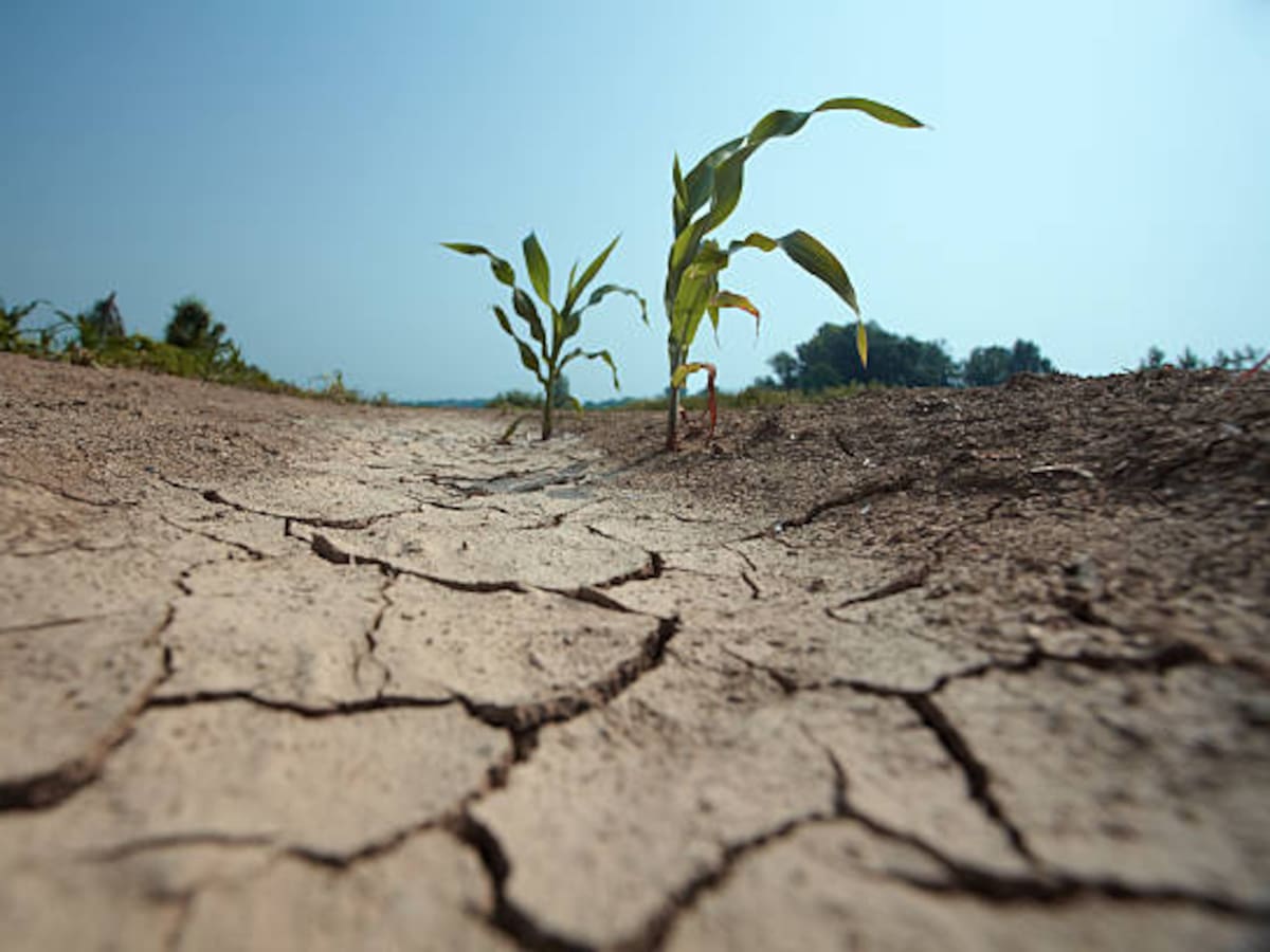 70% del suelo colombiano está en riesgo