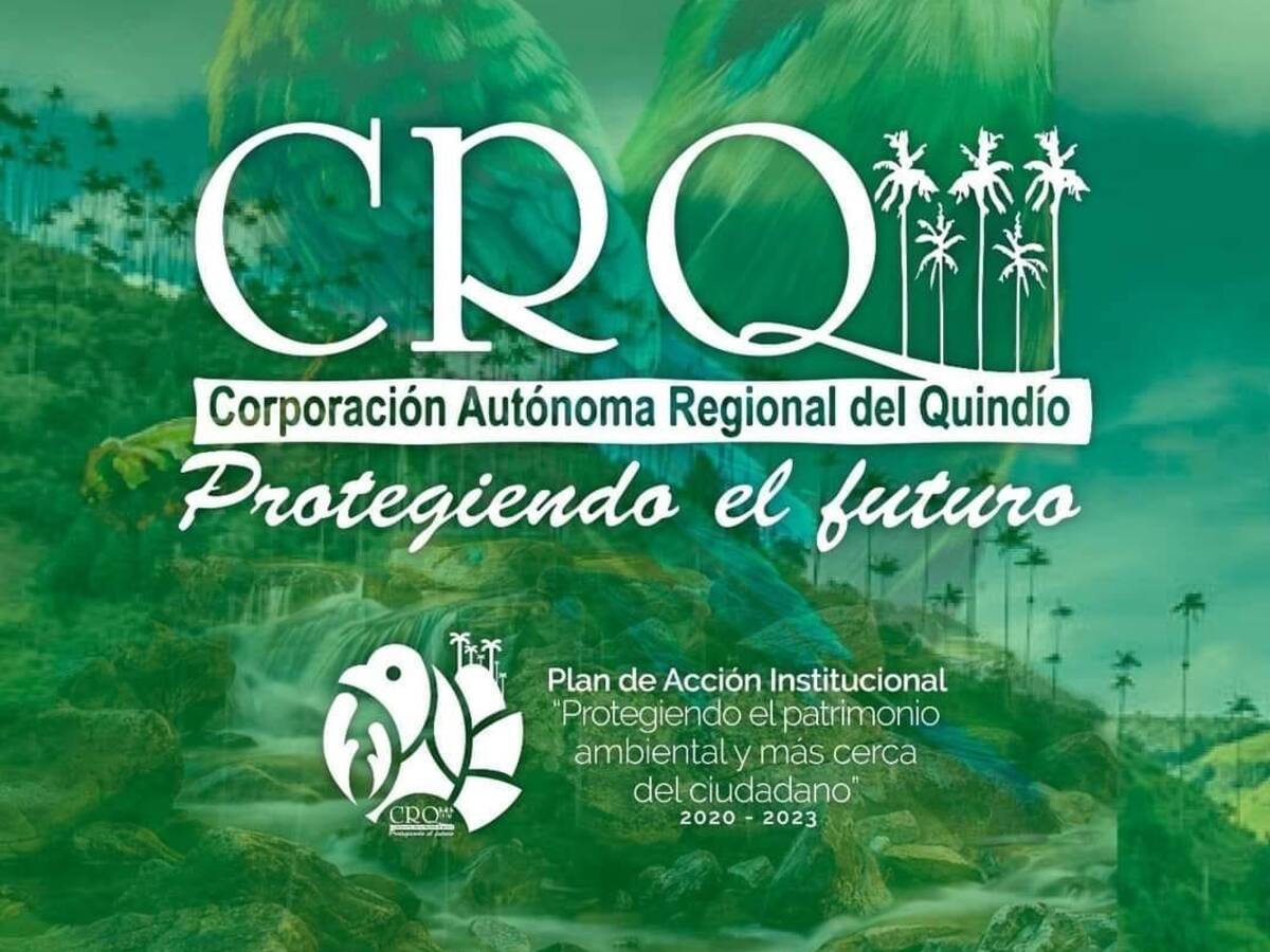 ¿Por qué un juez ordenó suspender el proceso de elección de director de la CRQ en Quindío?