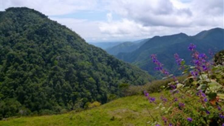 Desmovilizada presenta canción para pedir perdón a Colombia