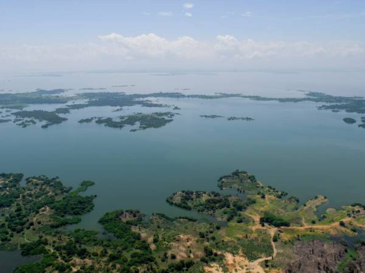 Ciénaga de Zapatosa, el nuevo humedal de categoría internacional