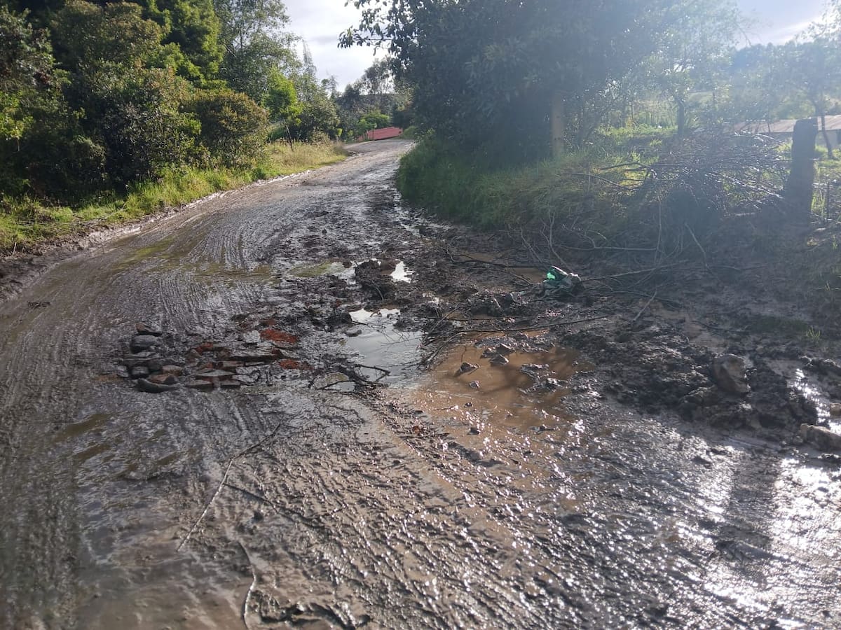 Denuncian presuntas fallas en millonario mantenimiento vial entre Pantano de Vargas y Firavitova