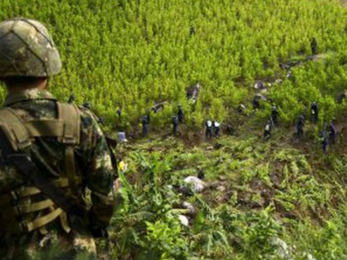 Alcaldes reconocen aumento de la violencia por culpa del narcotráfico