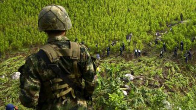 Alcaldes reconocen aumento de la violencia por culpa del narcotráfico