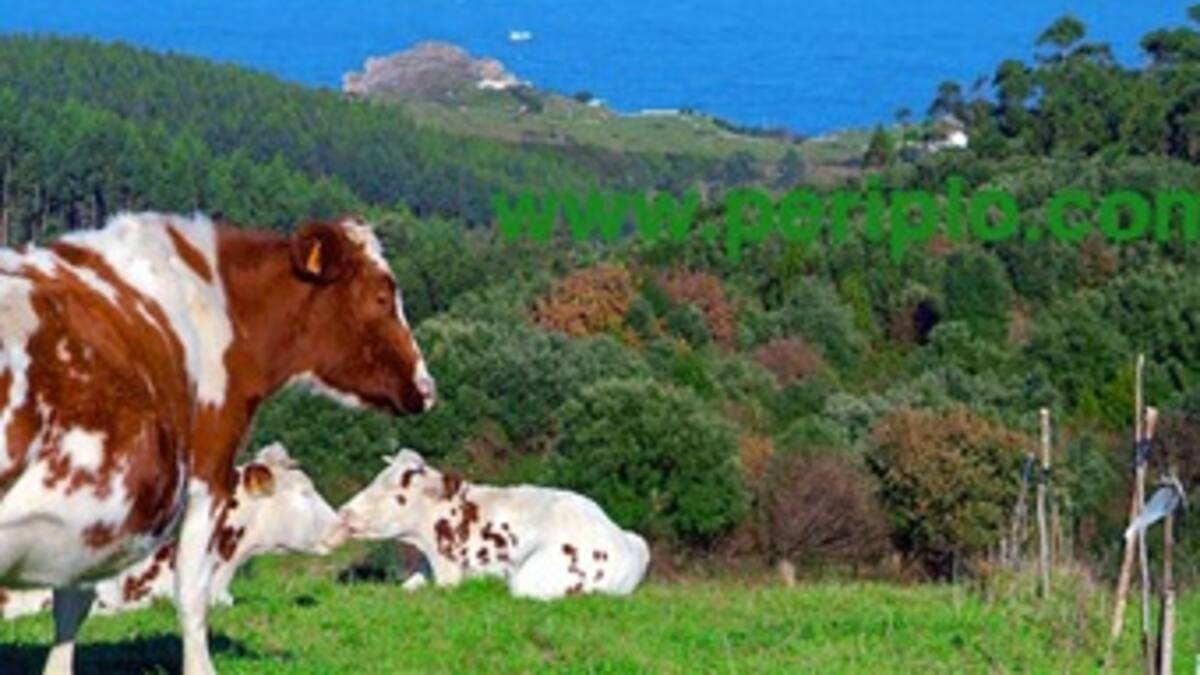 Segunda convocatoria de Becas Colombia Biodiversa