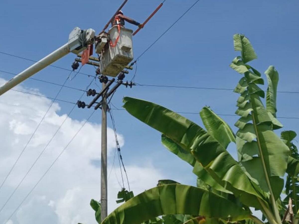 Empresas y fincas con millonarias deudas de energía en el Magdalena
