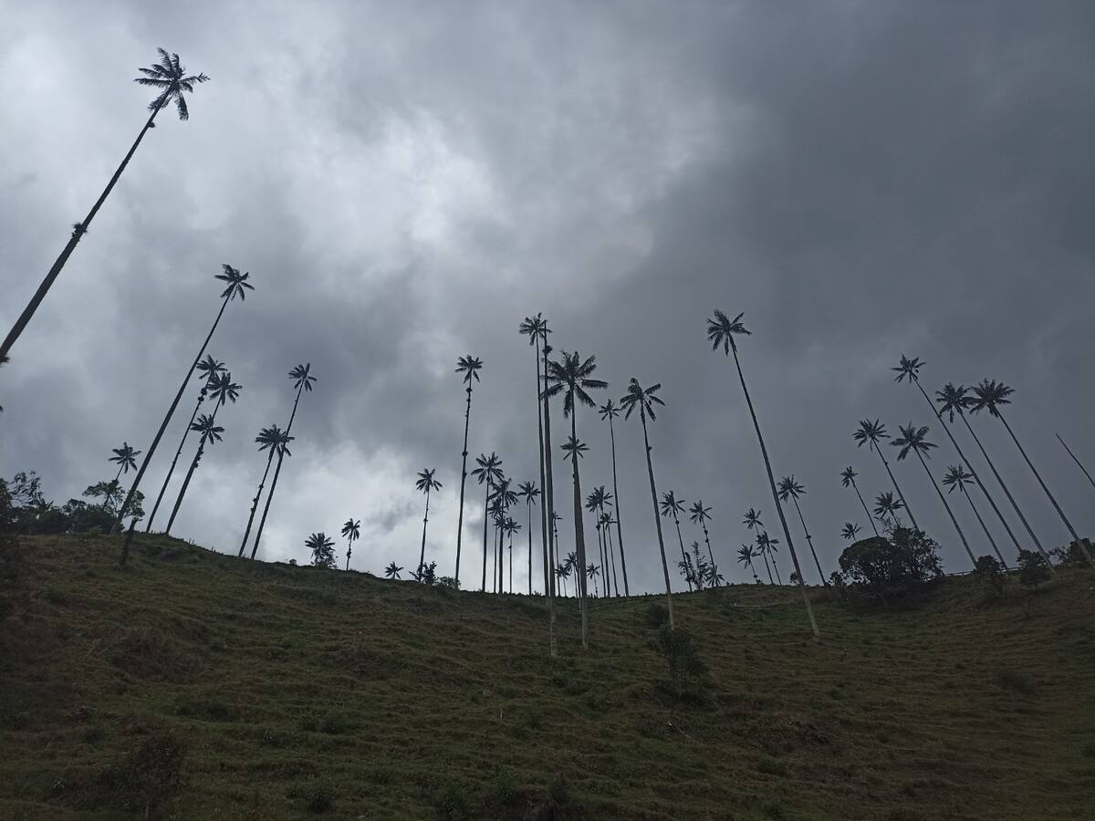 Autoridades en Quindío establecen controles por cierre en parque natural Los Nevados