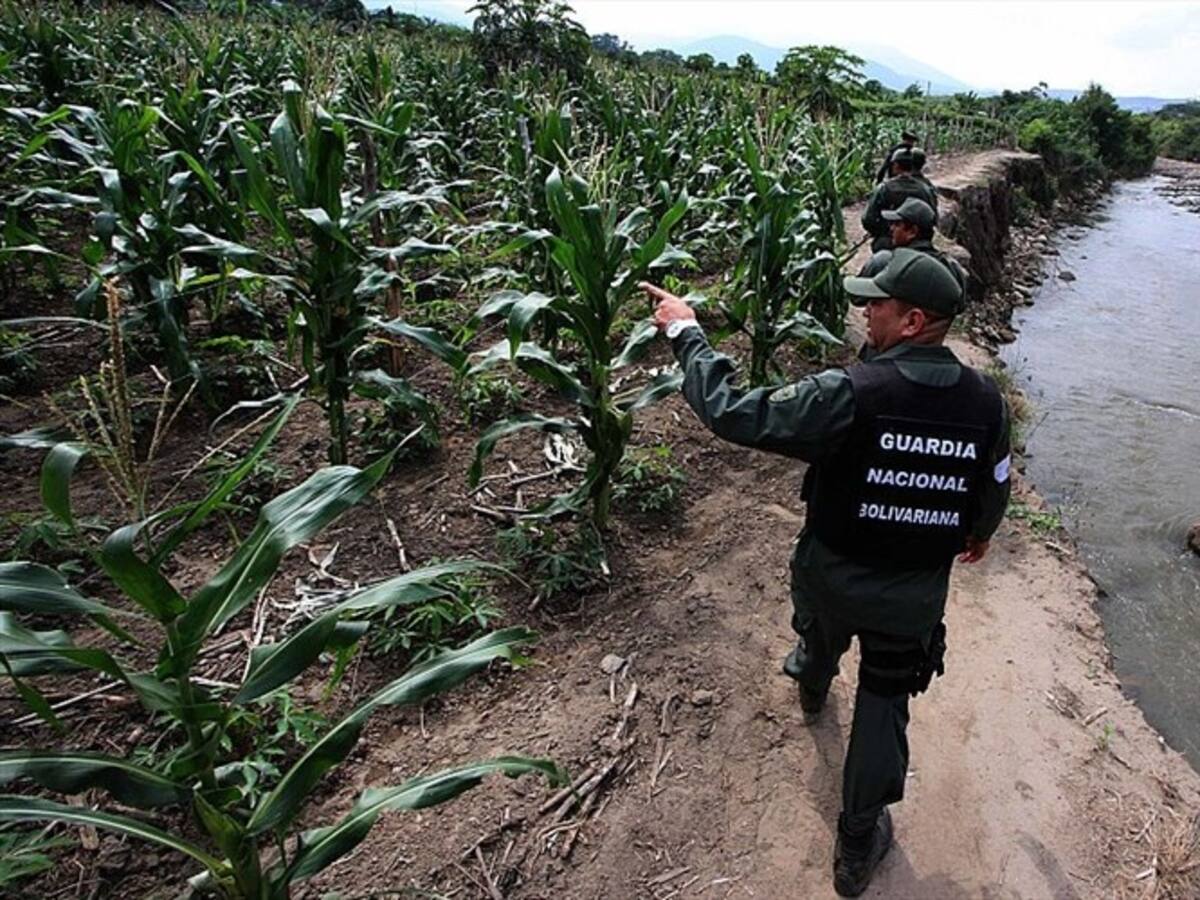 Venezuela reclama estudios forenses a extranjeros asesinados en la frontera