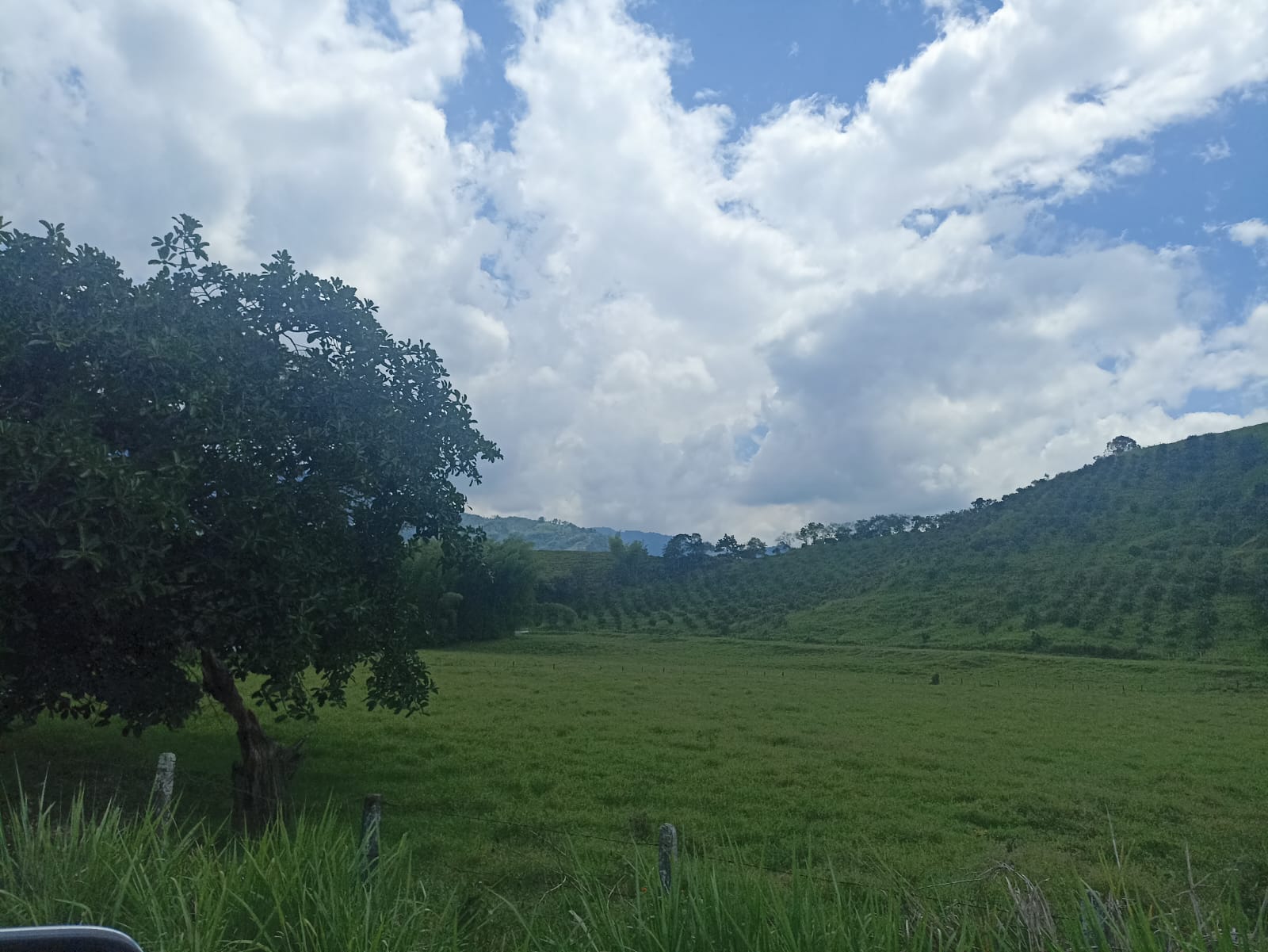 Los hermosos paisajes de la cordillera del Quindío. Foto Adrián Trejos