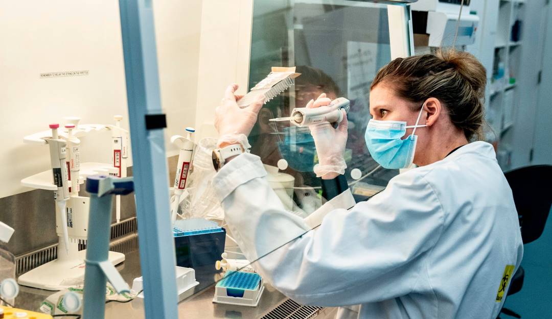 Revisión de muestras del coronavirus.     Foto: Getty 