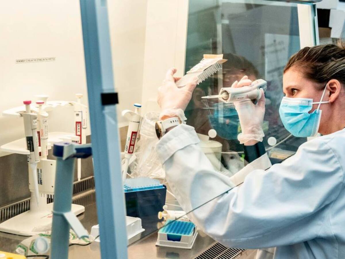 XE, la nueva variante COVID-19 detectada por la OMS