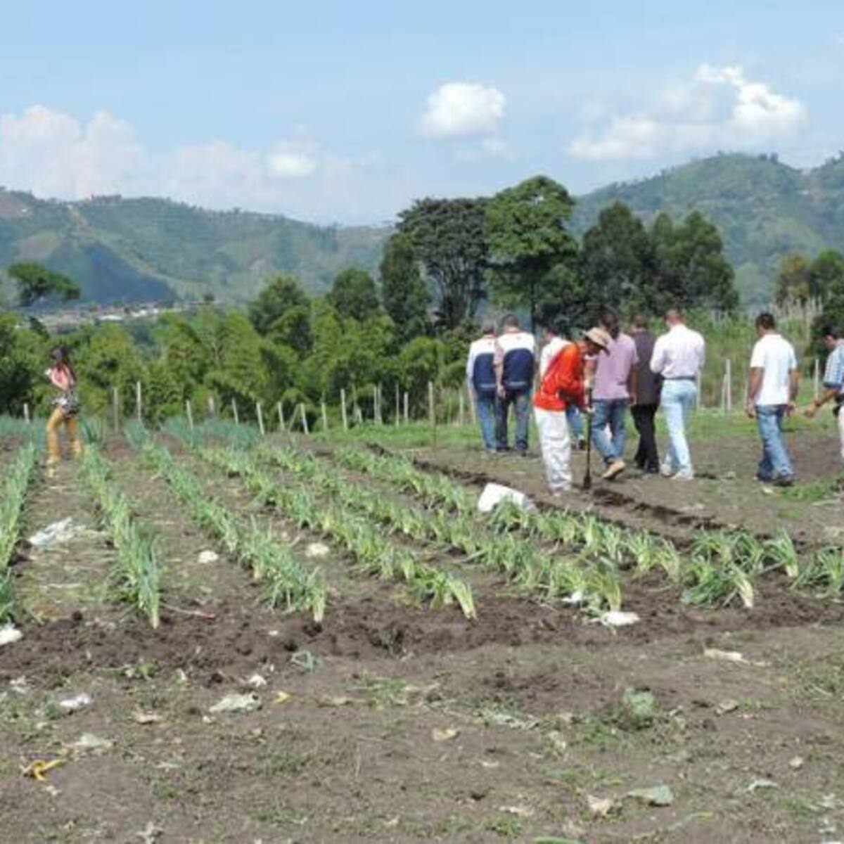 Caldas necesita crecer en cultivos para tener soberanía alimentaria