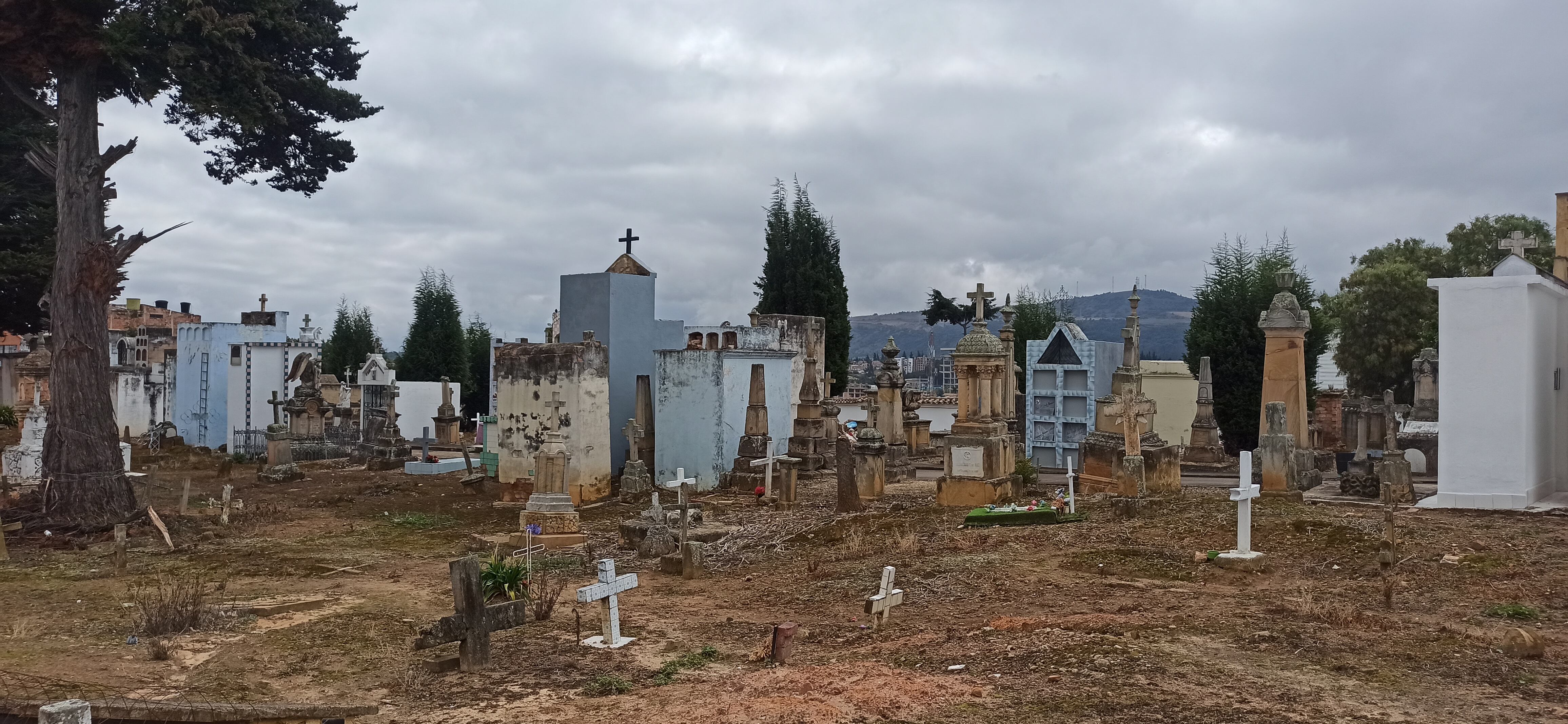 En Boyacá hay 1.450 personas reportadas como desaparecidas, y la entidad hace un llamado a las familias para fortalecer la búsqueda.