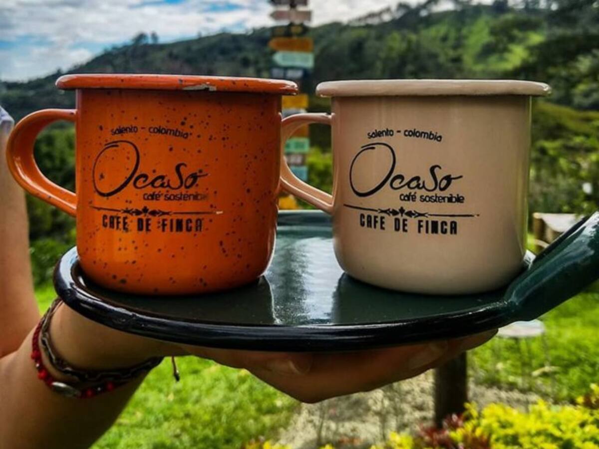 Las tiendas de café especial están de moda en el Quindío, ya son 266 en el departamento