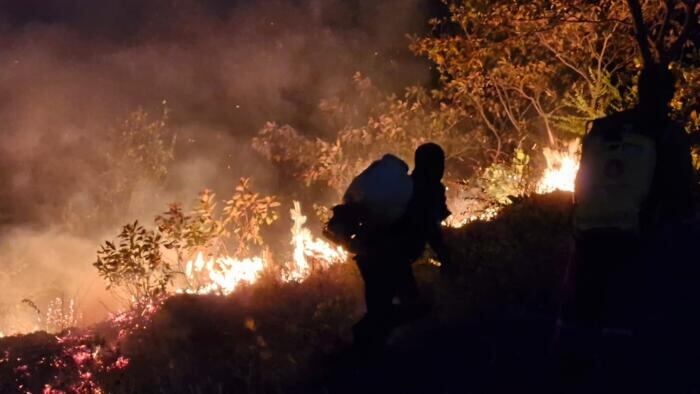 Incendio forestal Palermo, Huila