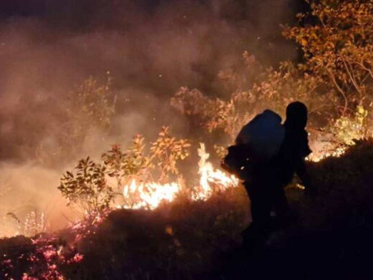 Palermo clama por ayuda ante devastador incendio forestal