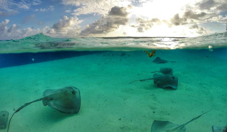 Foto ganadora, Concurso Nacional de Fotografía "Revela Colombia 2018"