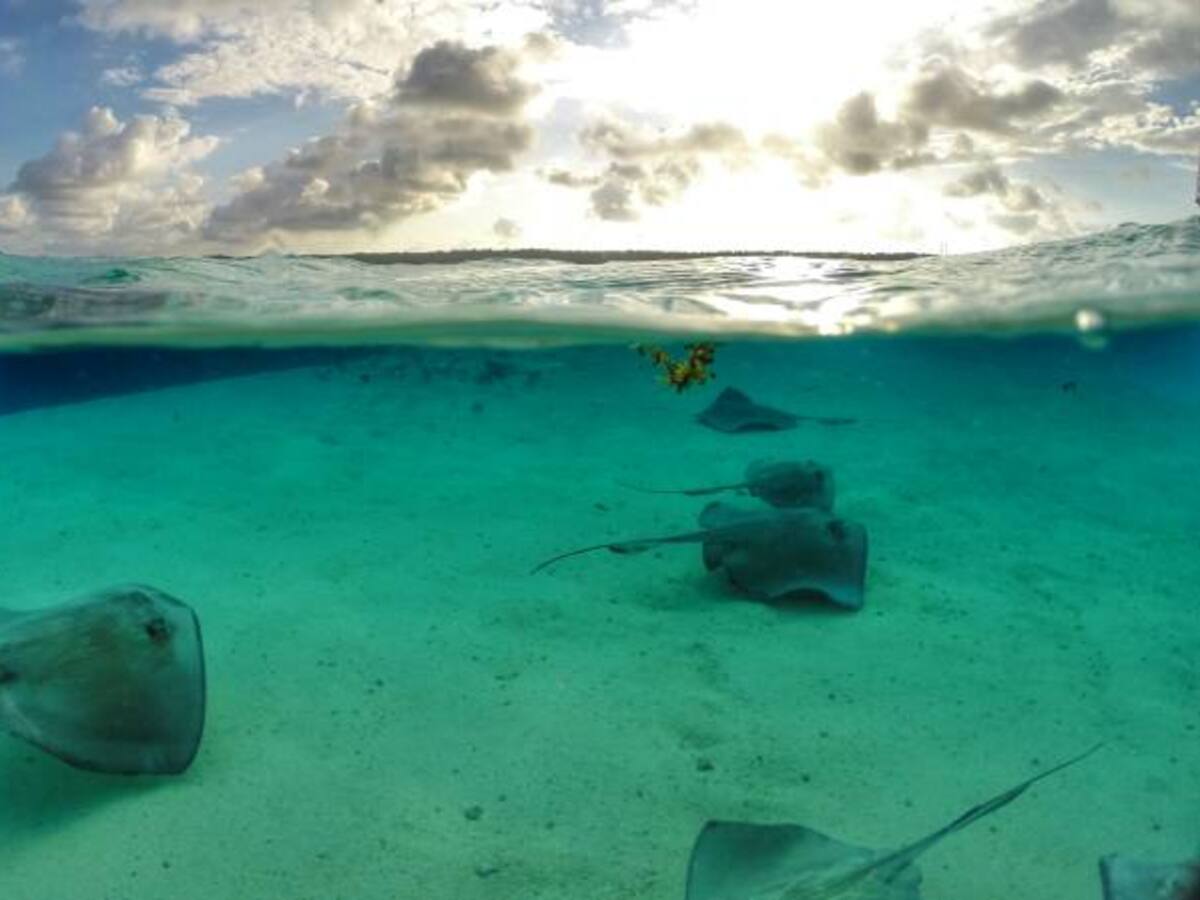 “Alejandro Ordosgoitia” muestra con sus fotos el encanto de San Andrés