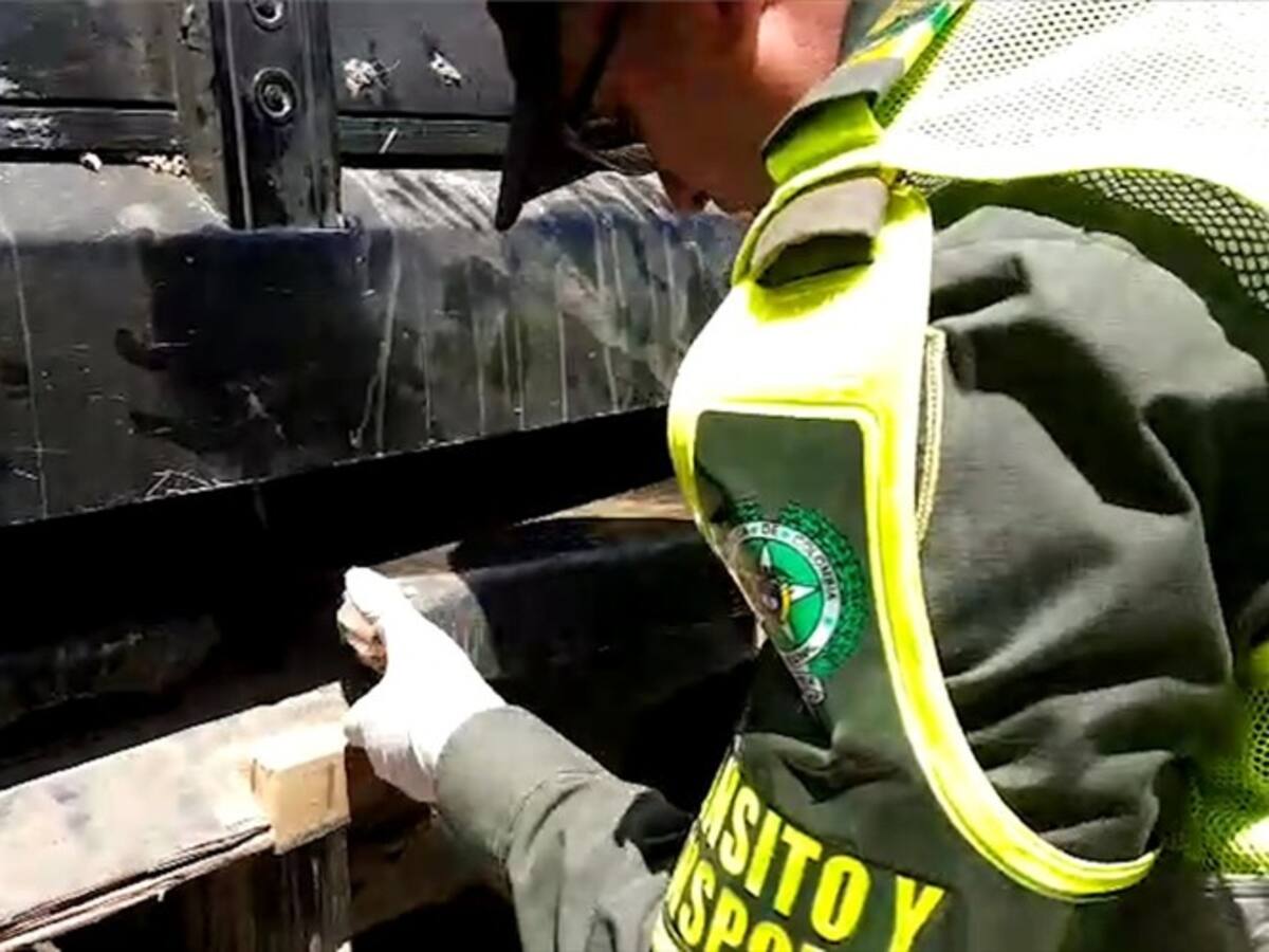 Fueron incautados 180 kilos de marihuana por la Policía de Caldas en Riosucio