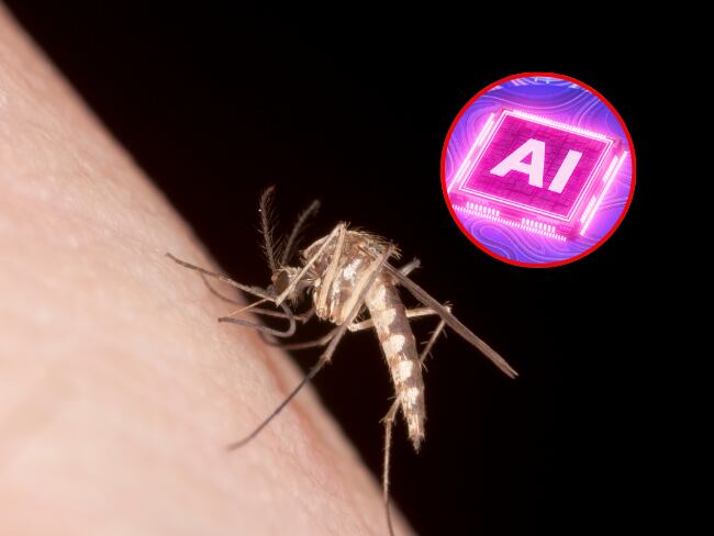 Mosquito, inteligencia artificial, imágenes de referencia (Getty Images).