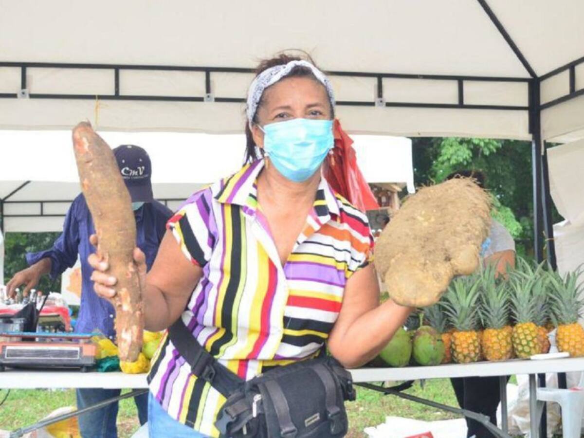 Mercado Campesino en Cartagena se tomará el barrio Bicentenario
