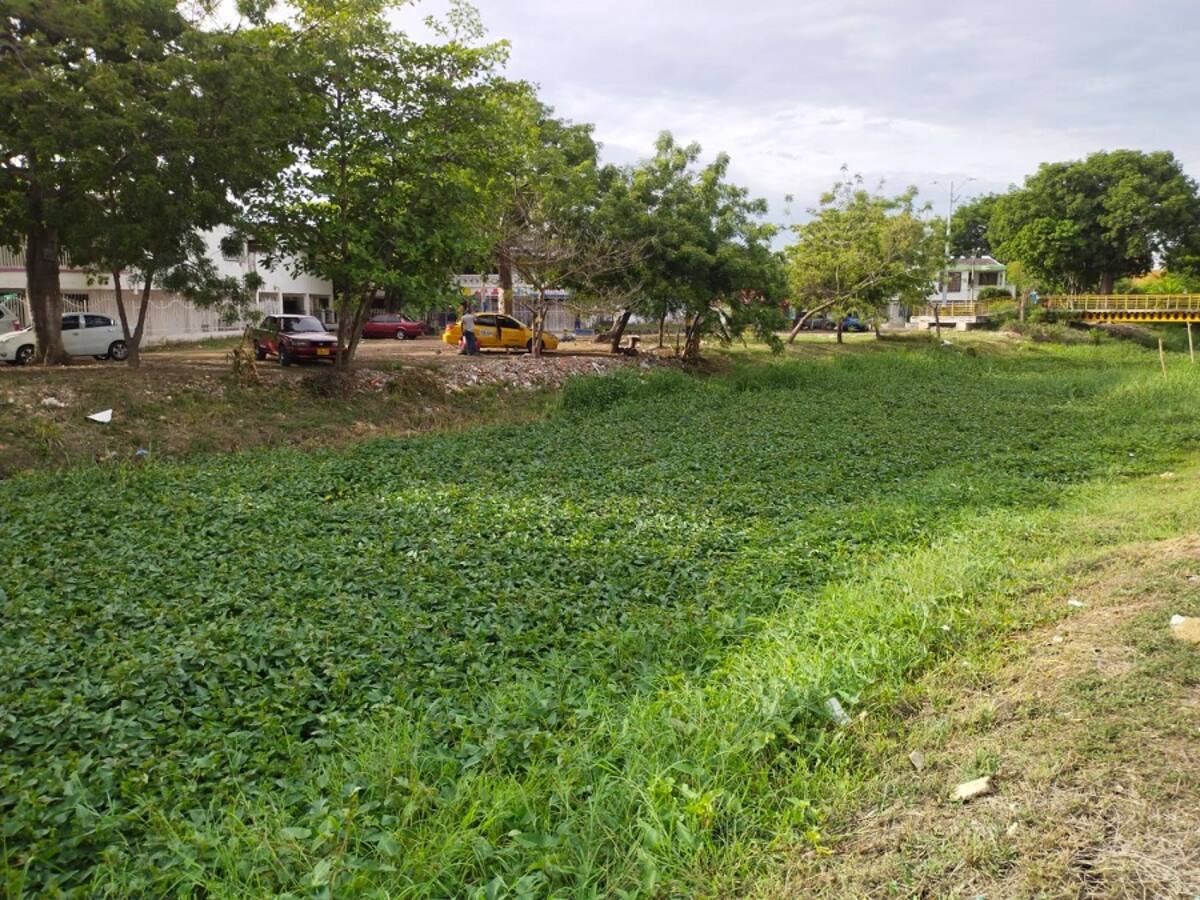 Concejo solicitó revisión del contrato de limpieza de los canales de Cartagena