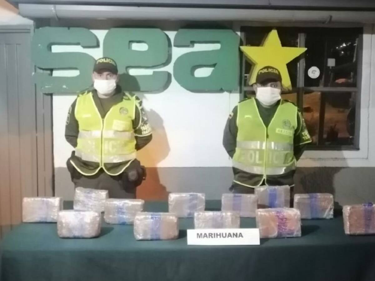 Decomisado cargamento de marihuana en el sector de Sabinas