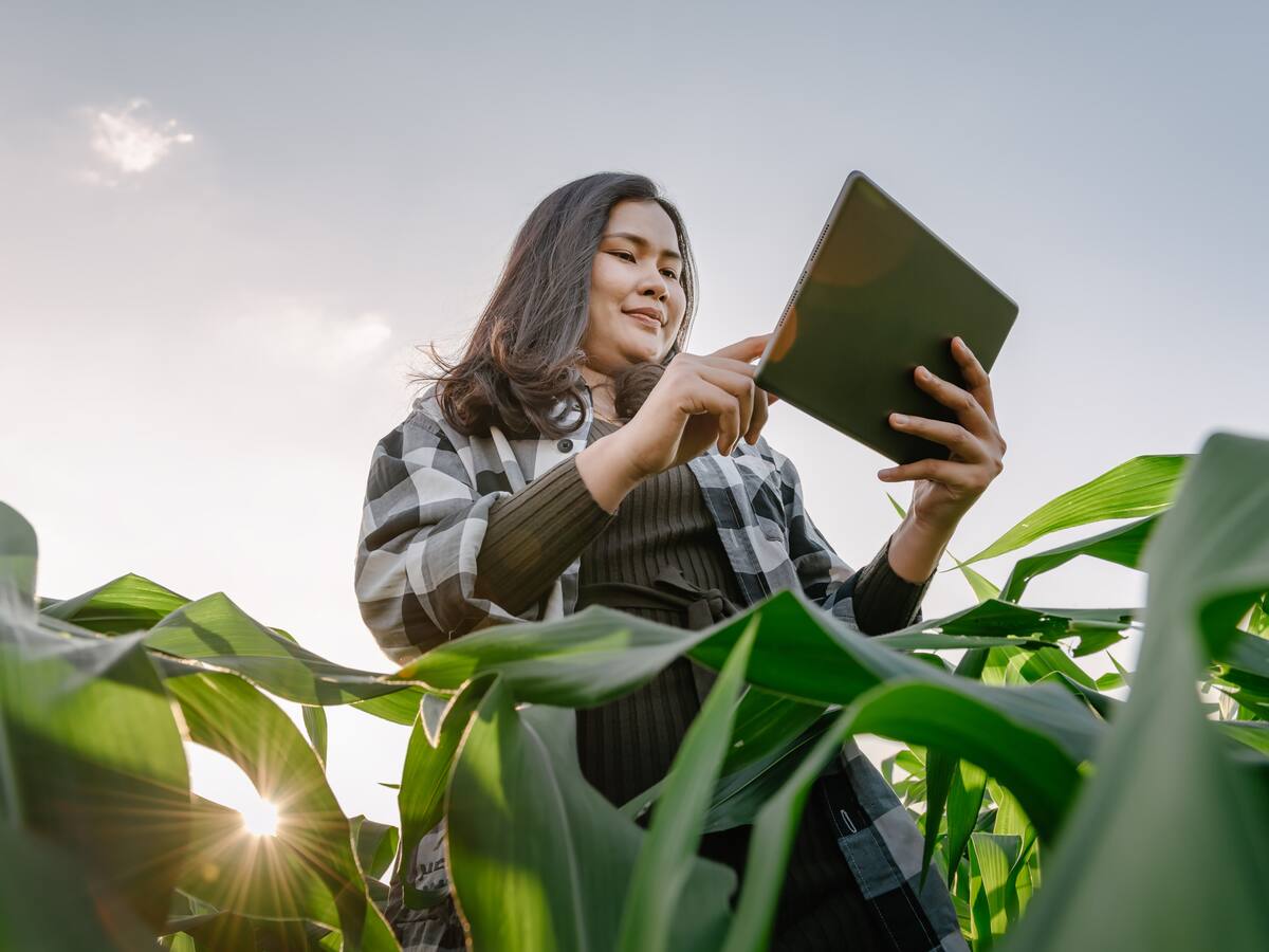 Huila fortalece su producción rural con programas de extensión agropecuaria