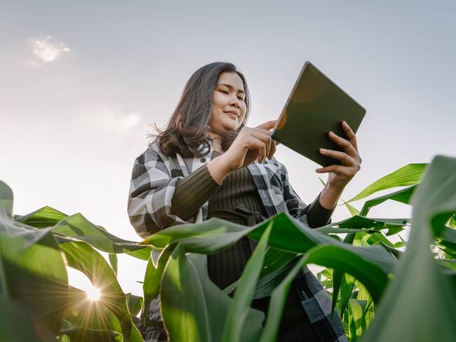 Extensionismo agropecuario en el Huila, para mejores cosechas