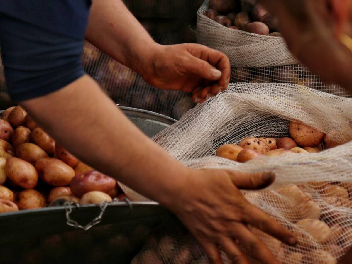 No más impuestos a la canasta familiar