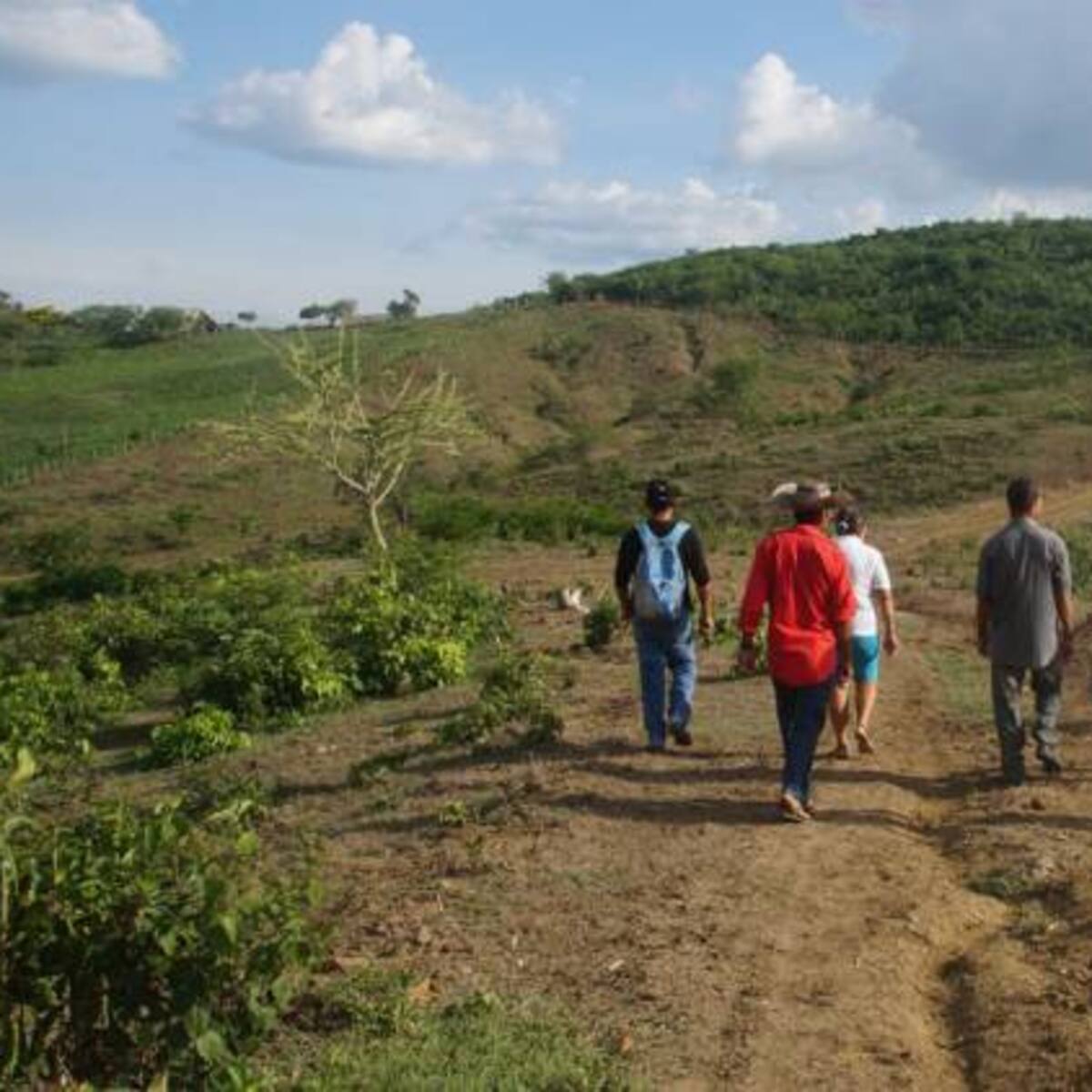 Ordenan crear un plan de descongestión para procesos de restitución de tierras